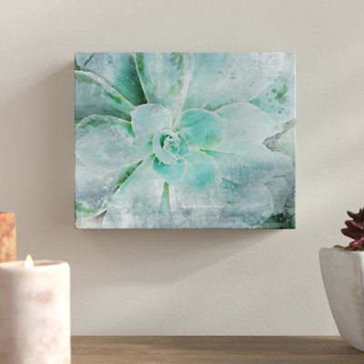 Impression sur toile Jeanetta «Teal Succulent 2»
