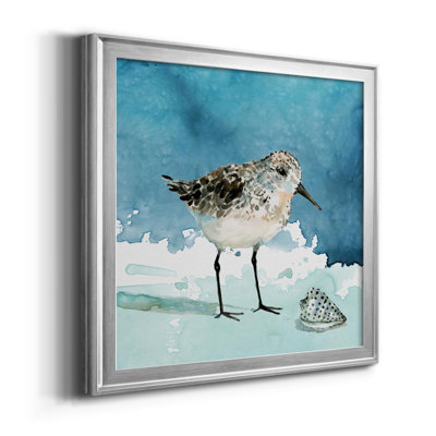 Delray Sandpiper I - Single Picture Frame Print on Canvas