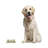 Rami Animals Figurines & Sculptures