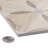 Komi Mossy 7-7/8" x 7-7/8" Porcelain Patterned Wall & Floor Tile