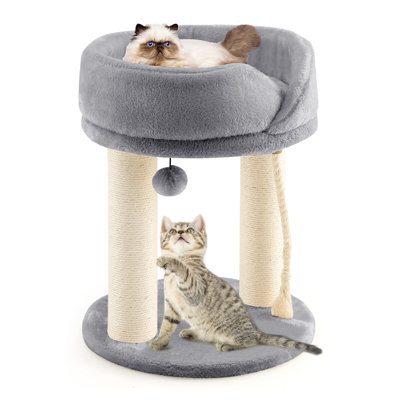 Daichi Cat Perch