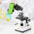 Compound Microscope