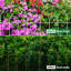 Clôture de jardin décorative 35 panneaux 35 po x 18 po x 50 pi-55801012-55801014