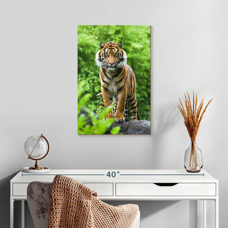 Brampt Tiger In Green Forest, 24" H x 16" W