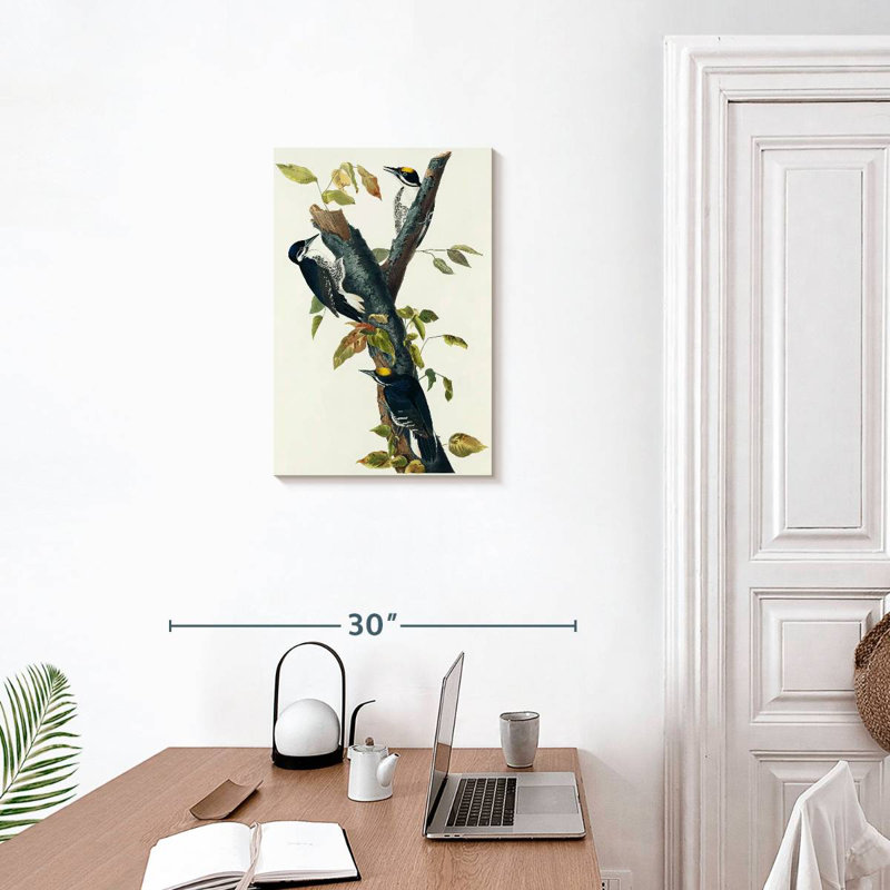 Keiri Three-Toed Woodpecker, 24" H x 16" W