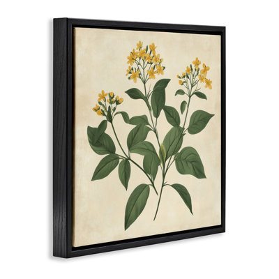 Yellow Bushels Botanical Illustration Floating Frame, design by Petal Prints Design
