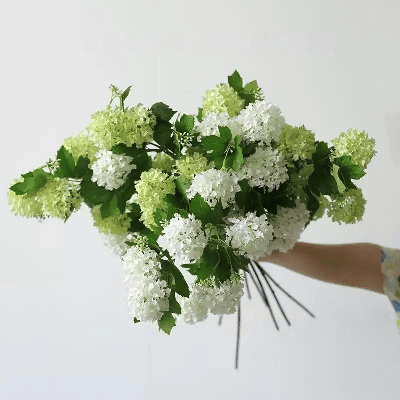 Spring Snowball Viburnum â€“ 31â€