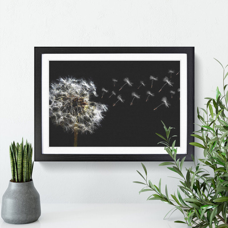 Dandelion Seeds Vol.10 - Picture Frame Graphic Art, 27cm H x 36cm W x 2cm D, Black Framed