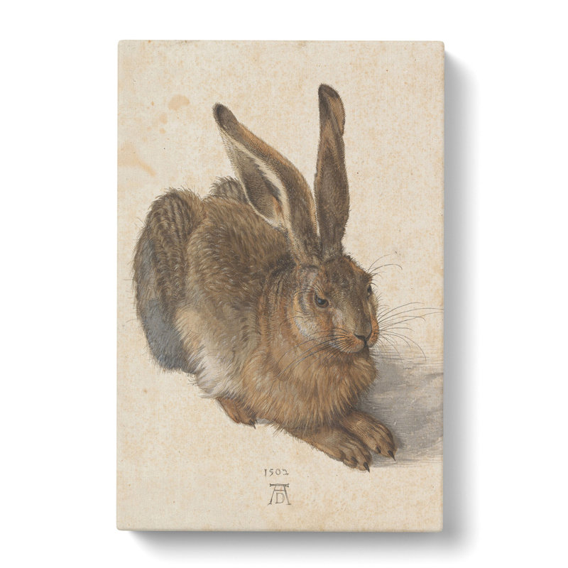 Hare by Albrecht Dürer - Wrapped Canvas, 50cm H x 35cm W x 3cm D