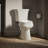 Highline 1.28 GPF Water Efficient Elongated Two-Piece Toilet (Seat Not Included)-10978617-108571196