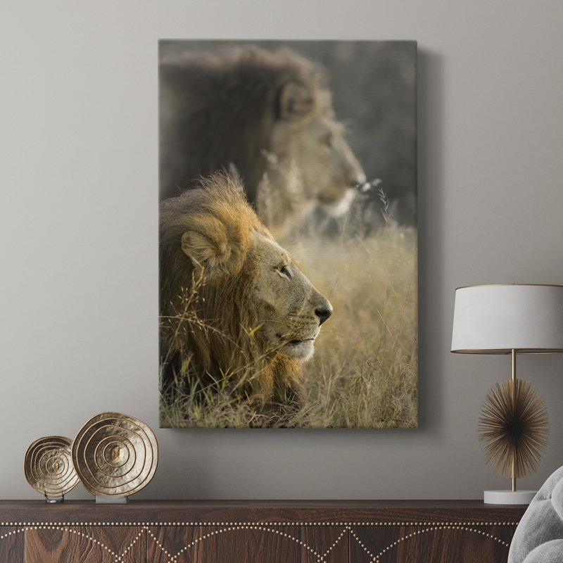 Lions au soleil du matin - galerie Cavas sur mesure, H 12 po x l 8 po