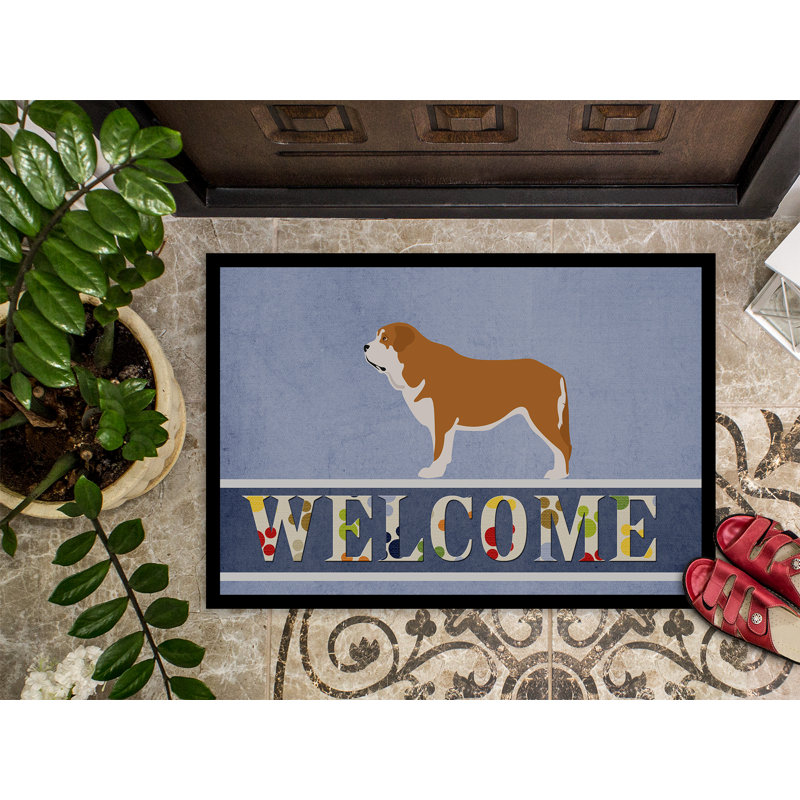 Tapis d’extérieur anti-dérapant mat epanol, Rectangle 1 pi 6 po x 2 pi 3 po