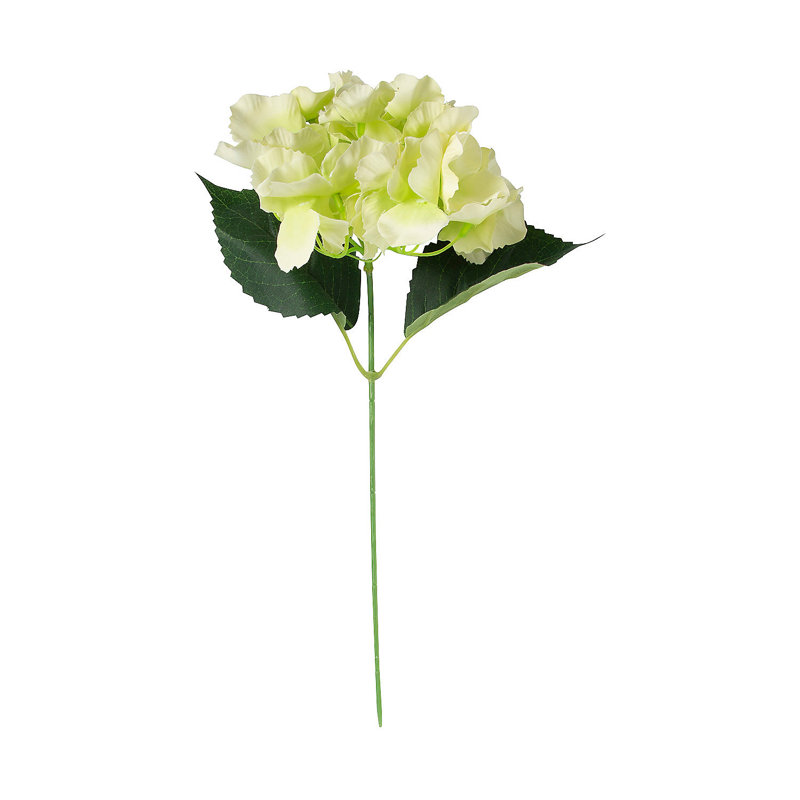 Hydrangea Arrangement