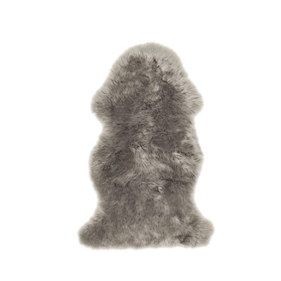 Asberry 55cm X 90cm Area Rug