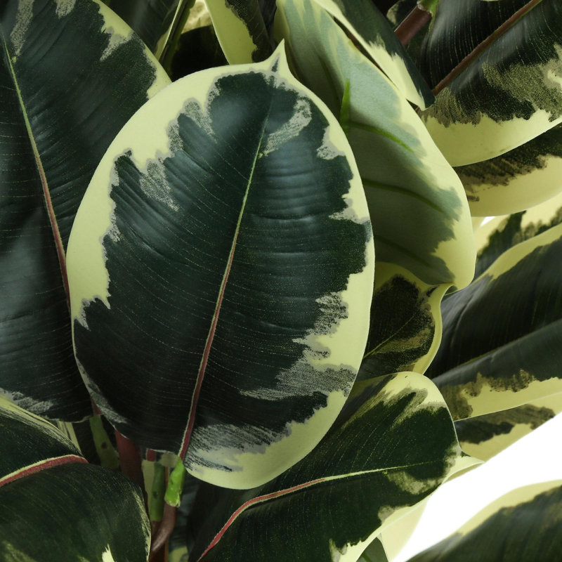 Arbre de dracaena artificiel 59 po H 1pc / ensemble