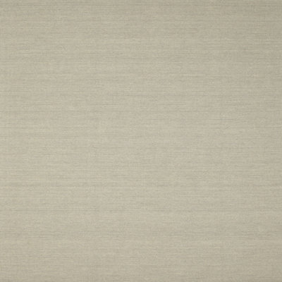 Surface beige contemporaine tapis