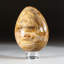 Petrified Wood Egg-124930771-124930763