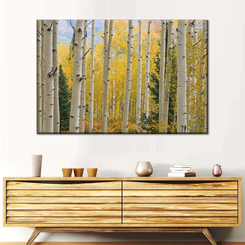 Elk Mountain Aspen Trees sur impression sur toile, H 24 po x l 36 po x P 1,25 po