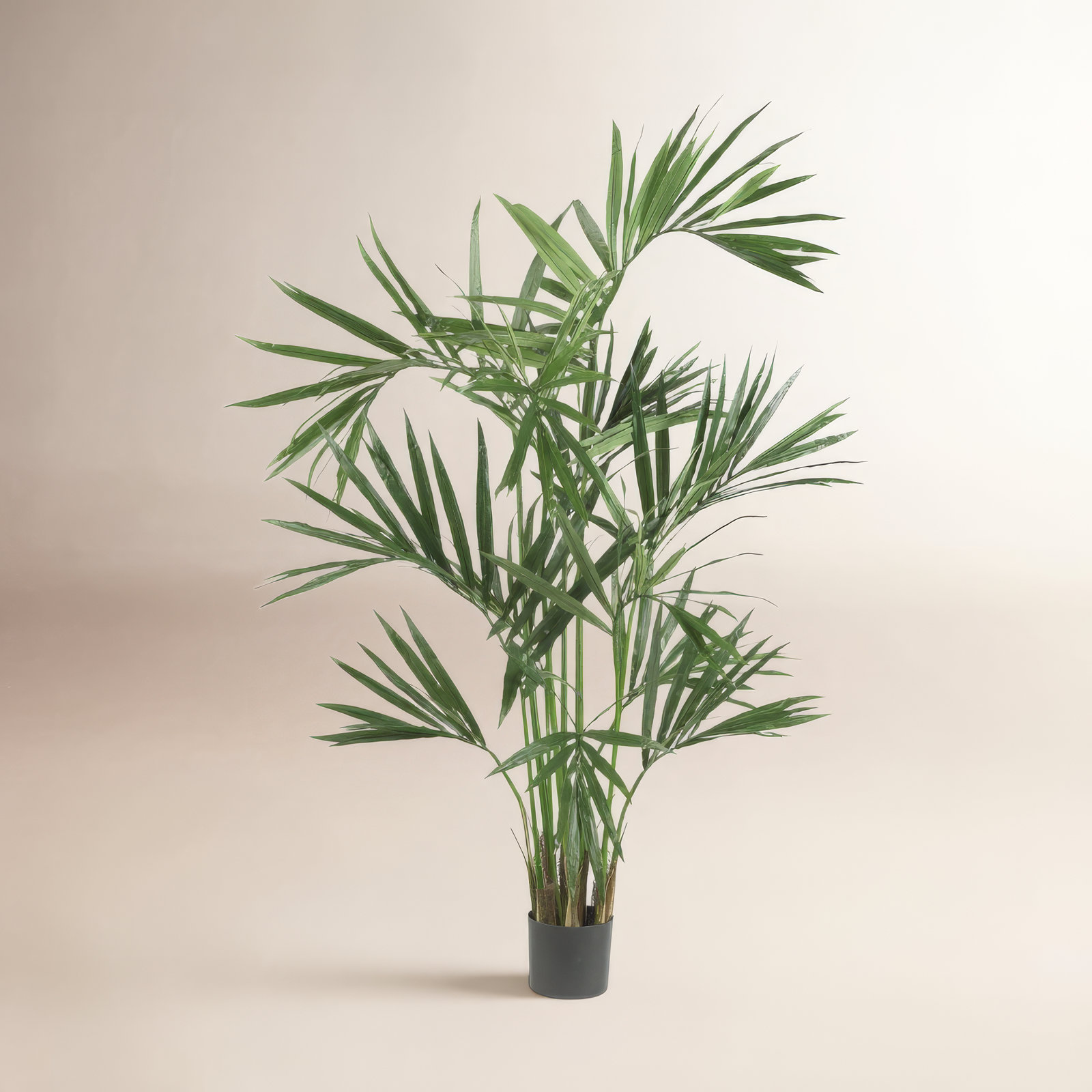 72" Palm Tree in Pot, 72"H x 42"W x 42"D/218 Leaves