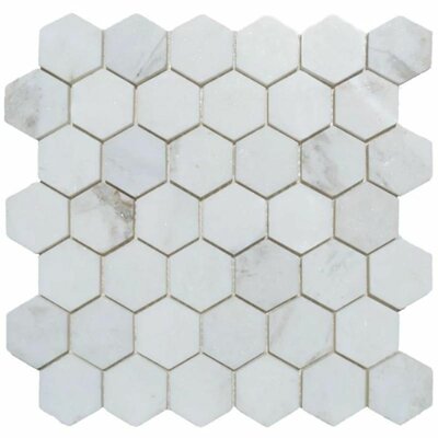 Tile & Mosaic Depot CAM2x2HP0161