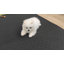 Tapis / coussin pour animal de compagnie robuste et imperméable lavable-2004696426-1980810111