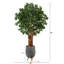 Litchi artificiel 72 po en pot