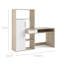 Aghan Secretary Desk