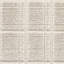 Tissu en velours Schumacher x David Oliver Otto-40635283