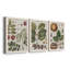 Exotic Botanique I - Ensemble de 3 peintures sur toile encadrées-595385050-595385051