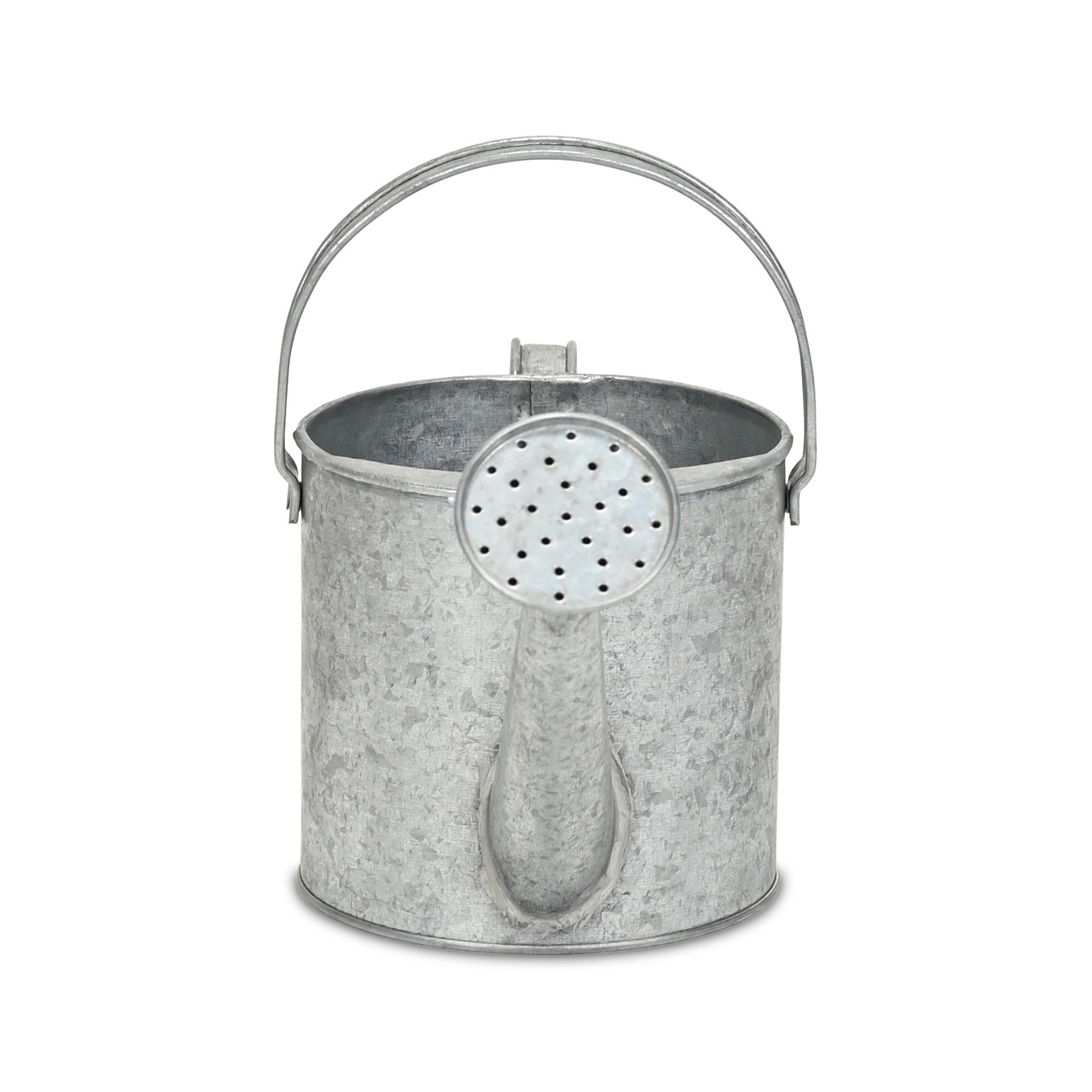Gracie Oaks Valta Galvanized Metal Decorative Watering Can | Wayfair