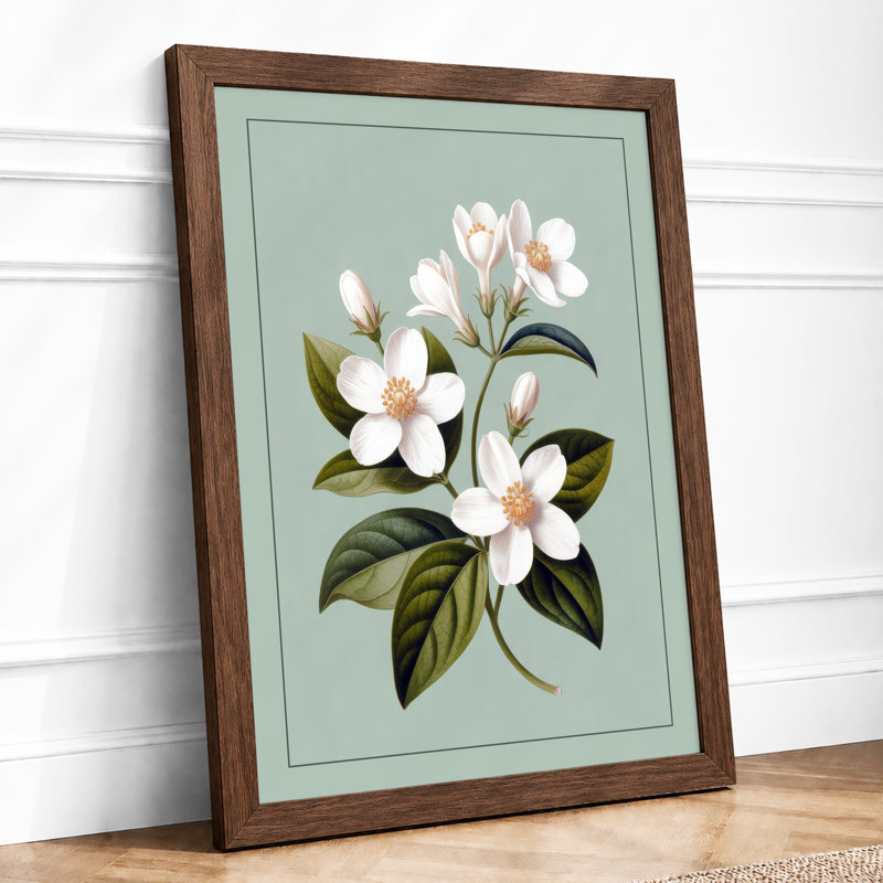 Flowering Stem Study Botanical - Framed Print, Walnut, A4 - 29.7 x 21.0 cm