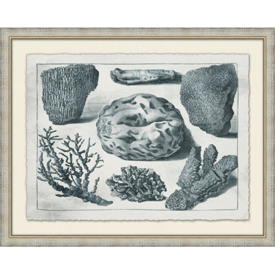 Aquatic Specimines " Aquatic Specimines 2 "