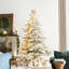 Sapin de Noël élégant enneigé avec lumières-648887276