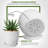 Plant Pots Indoor with Drainage-2099958487