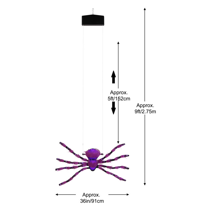 Araignée grimpante 9 pi