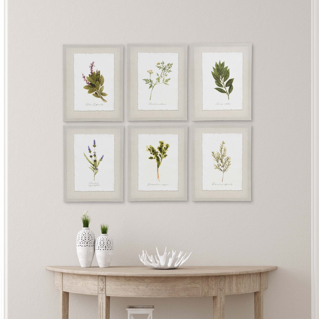 Botanical Herbs by Ava Barrett - 6 Piece Wrapped Canvas Wall Art Set Gracie Oaks