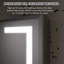 Silver Aluminum Recessed/Surface Mount Lighted Medicine Cabinet With Mirror And Dimming-710103007