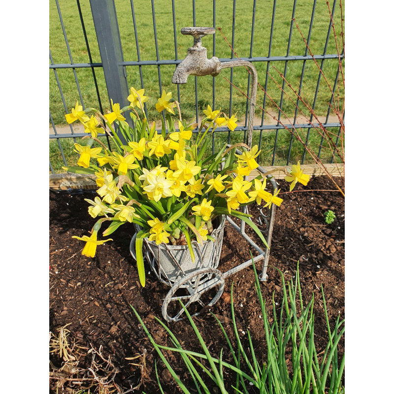 Garnica Metal Weather Resistant Plant Stand