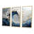Toile naturelle avec cadre flottant