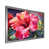Silver Single Picture Framed is unavailable
