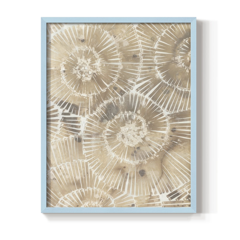 Fossil Nautilus I, reproduction encadrée - bois massif, H 11 po x l 9 po, Bleu
