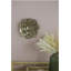 Plaque murale succulente D10x1,4 ", 2 pièces