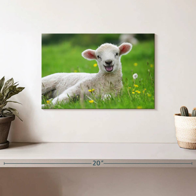 Brampt Funny Lamb, 8" H x 12" W
