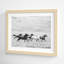 Horse Run I by PHBurchett-558661565-558661570