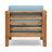 OANA CLUB CHAIR WITH CHUSION-87545777-87545778