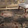 Mckim Oriental Indoor Rug