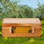 Articles apicoles en bois