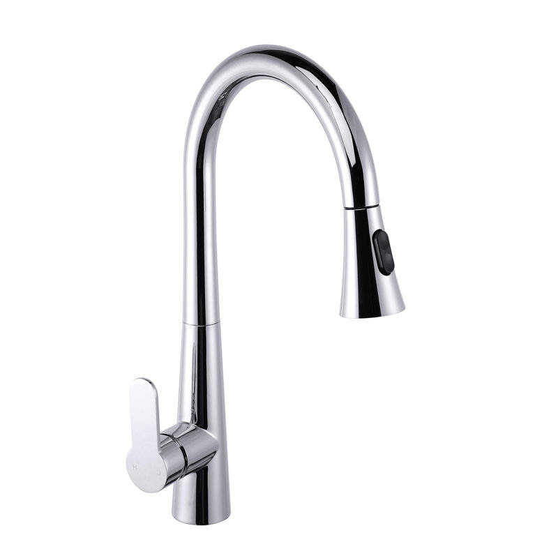 Belfry Kitchen Galvez Pull Out Kitchen Faucet