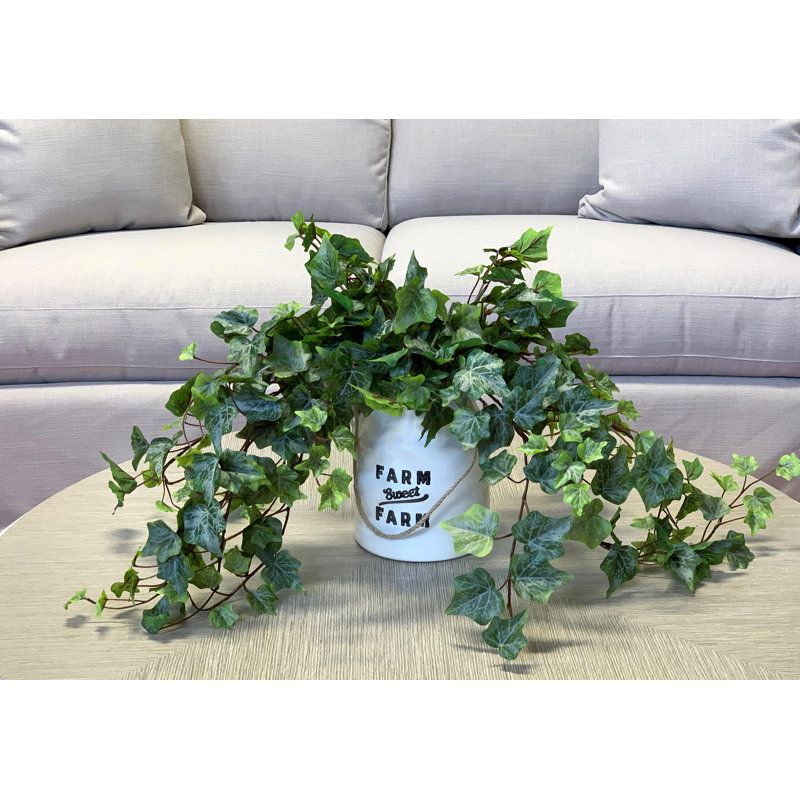 Rio Faux Ivy Plant in Ceramic Pot