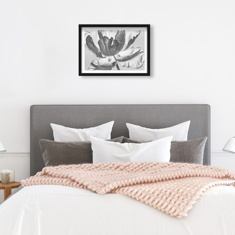 Full Bloom Framed Graphic Art, 17.5" H x 25.5" W, Black Shadowbox